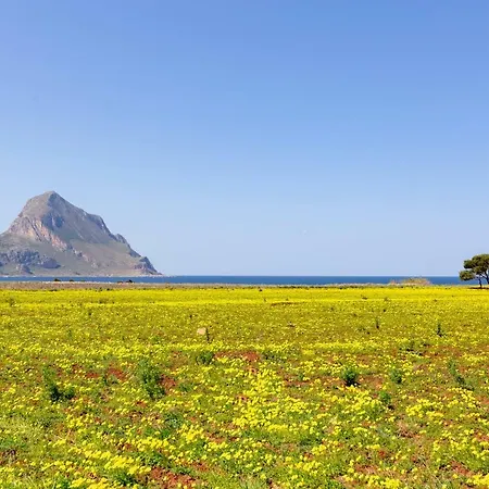 ベッド・アンド・ブレックファスト Acasamia